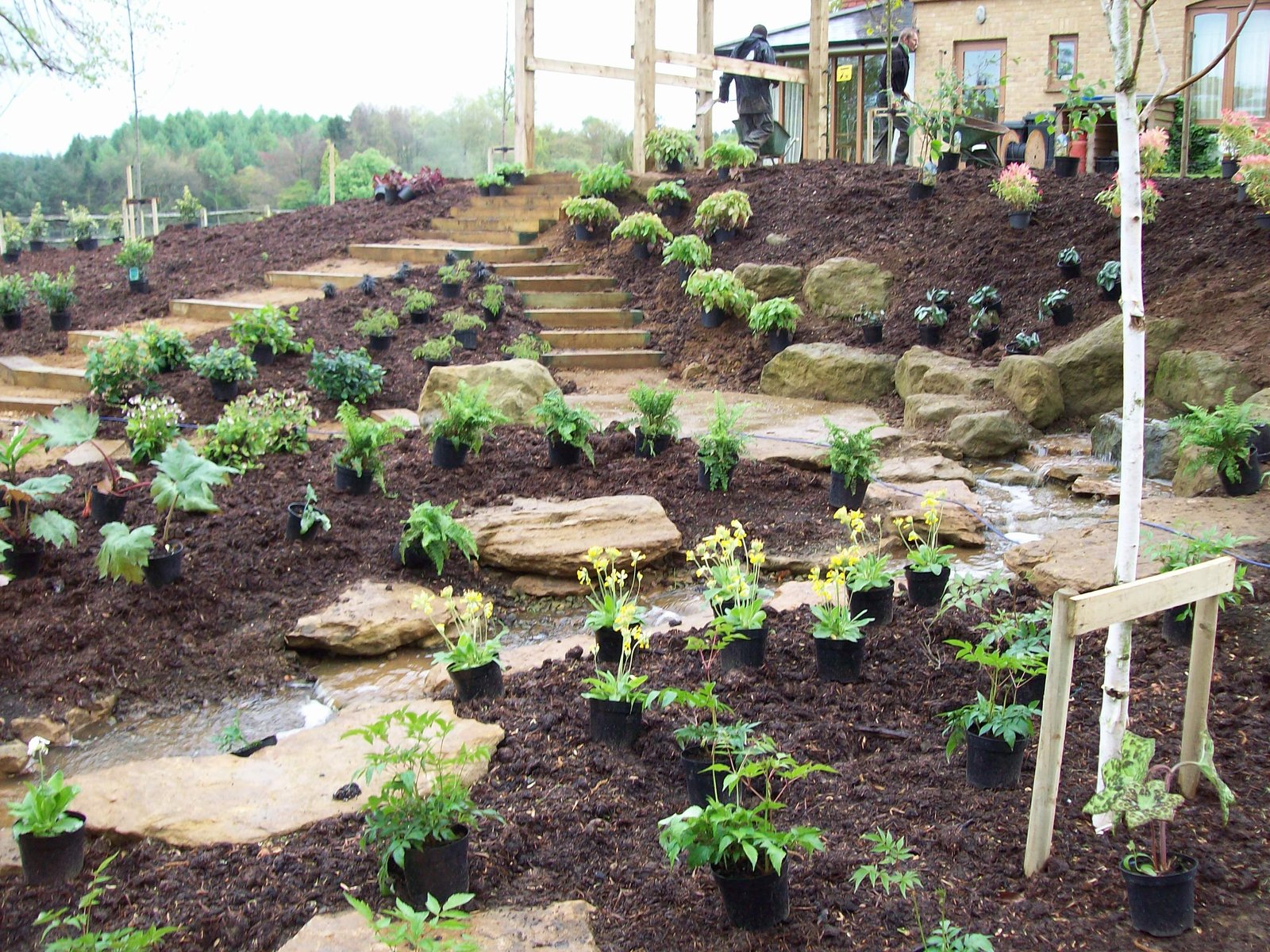 Chiddingfold water garden and landscaping project